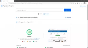 Pagespeed-Screenshot_desktop