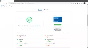 Pagespeed-Screenshot_mobile